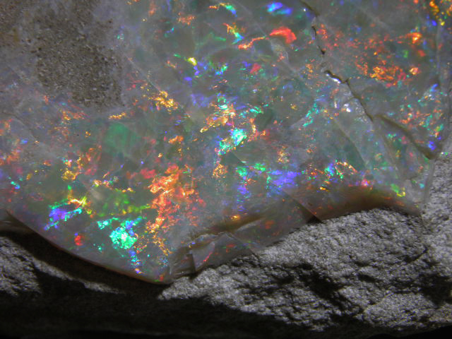 Prize fighter opal