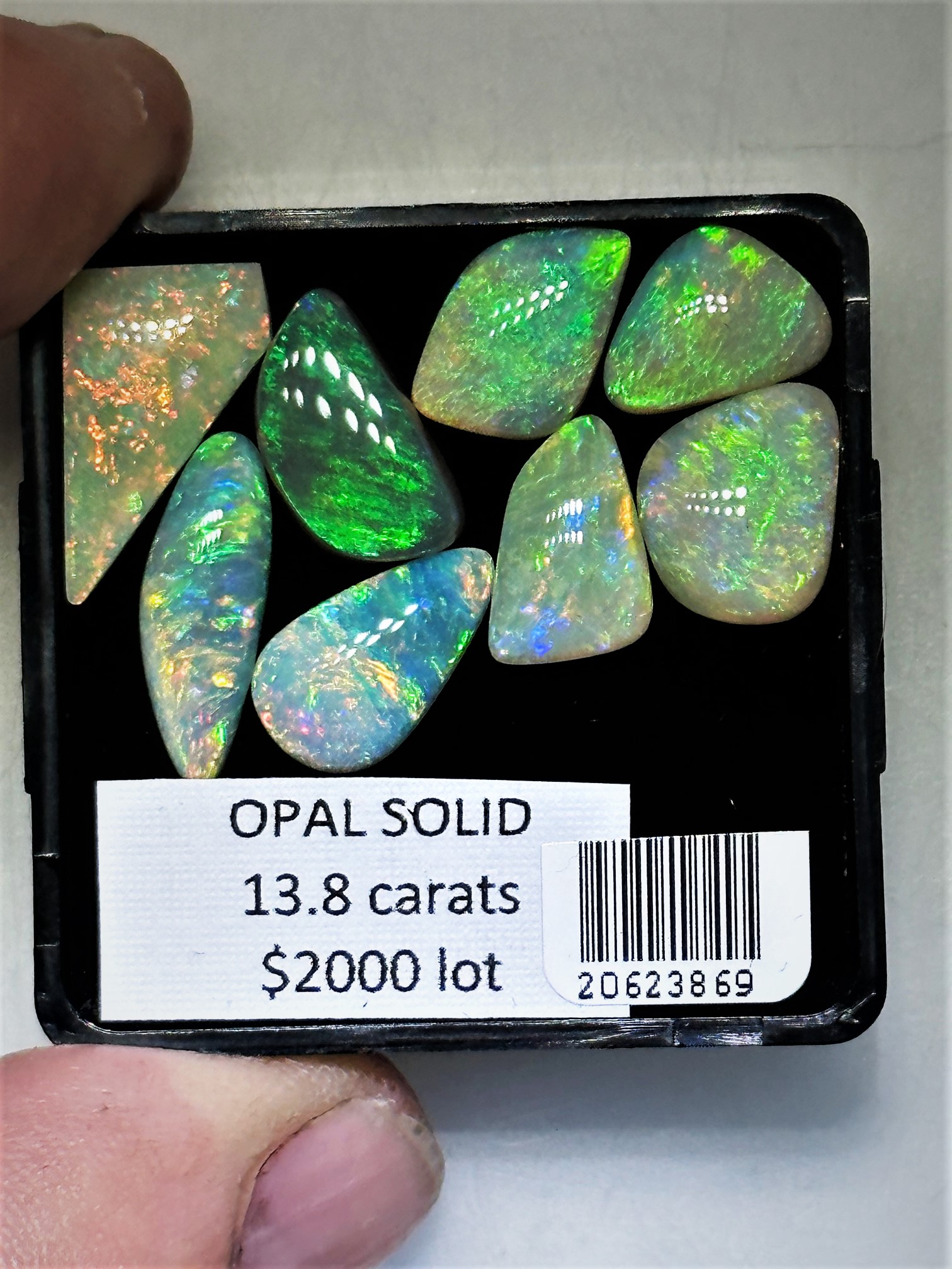 Natural Dendrite Opal Gemstone Earrings In Sterling Silver
